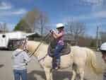 Giant City Stable for horseback riding in Illinois most hippie town